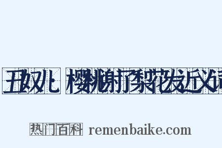 丑奴儿·樱桃谢了梨花发近义词是什么意思的图片